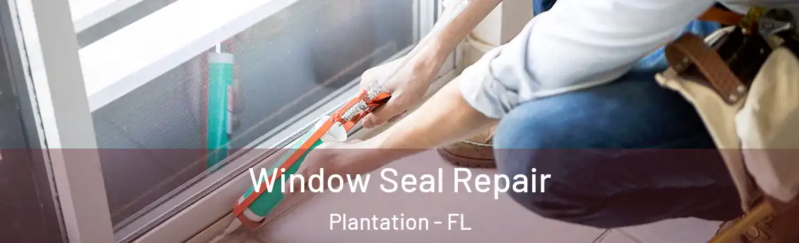 Window Seal Repair Plantation - FL